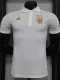23-24 Italy White Special Edition Player Version Training Shirts