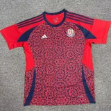 24-25 Costa Rica Home Fans Soccer Jersey