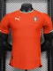 24-25 Portugal Red Special Edition Player Version Soccer Jersey #PM