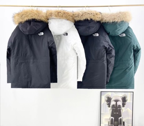 TNF 1197# UNISEX DOWN PARKA
