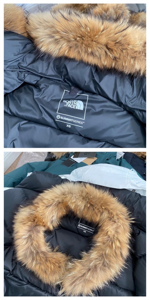 TNF 1197# UNISEX DOWN PARKA