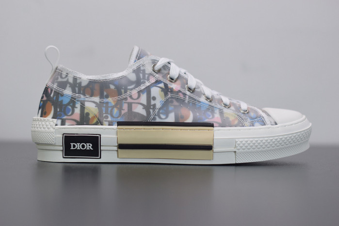 D10R B23 OBLIQUE LOW TOP SNEAKER