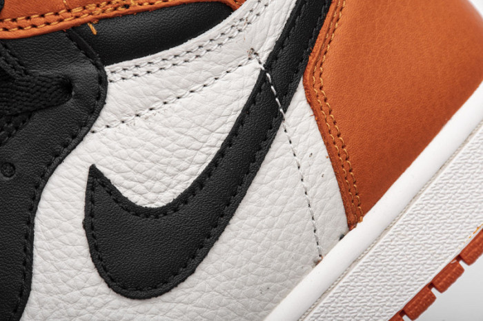 Air Jordan 1 Retro High OG Shattered Backboard