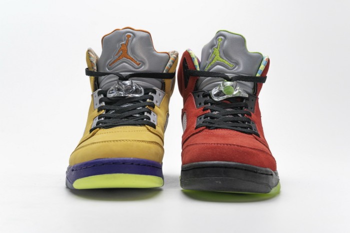Air Jordan 5 Retro What The