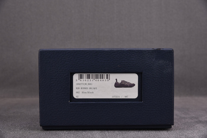 D10R B28 Oblique LOW Top Sneaker