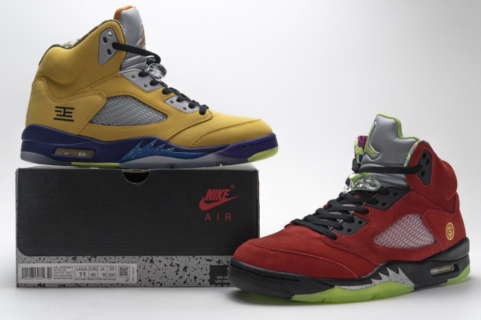 Air Jordan 5 Retro What The