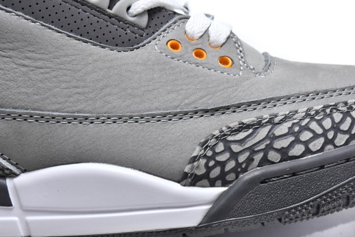 Air Jordan 3 Retro Cool Grey 2021