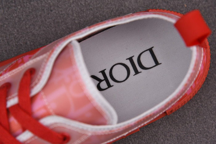 D10R B23 Oblique LOW Top Sneaker
