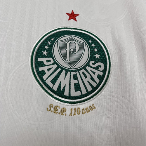 Palmeiras Away Man Jersey 24/25