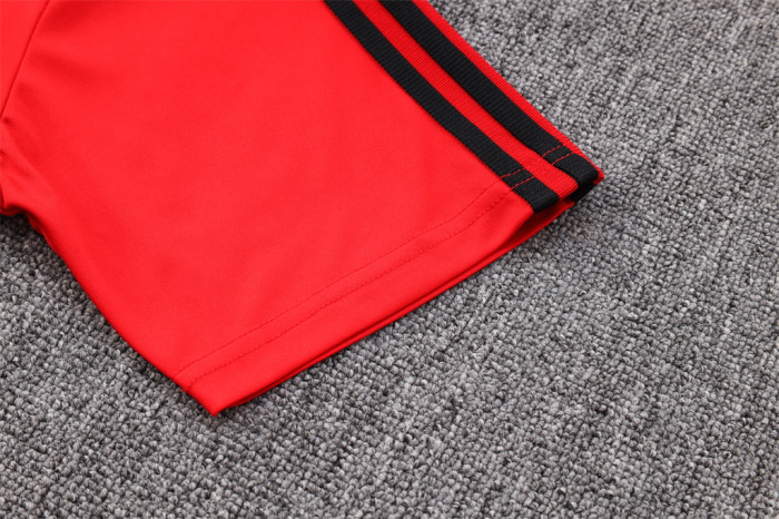 Flamengo POLO Jersey 23/24