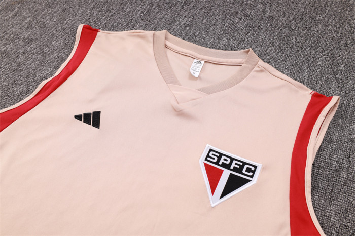 Sao paulo Training Jersey 23/24