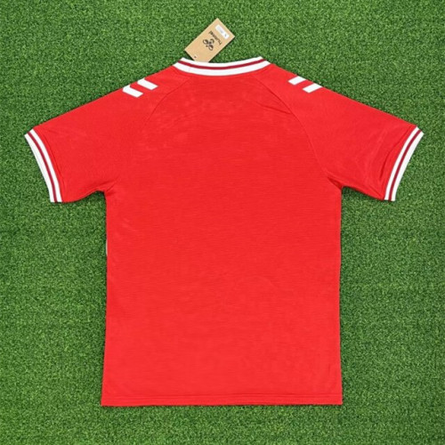 Denmark Euro 2024 Home Man Jersey