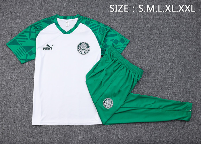 Palmeiras Training Jersey 23/24