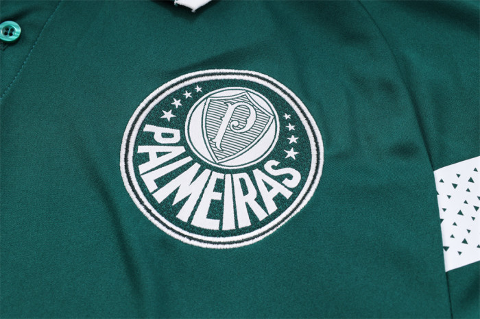 Palmeiras POLO Jersey 23/24