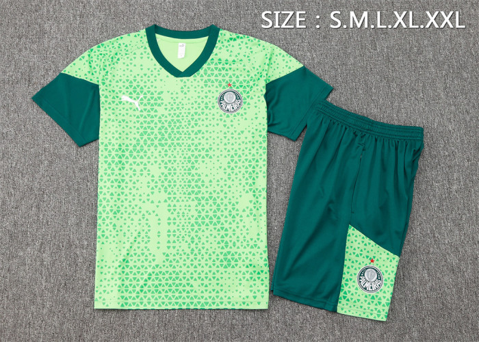 Palmeiras Training Short sleeve Suit 24/25