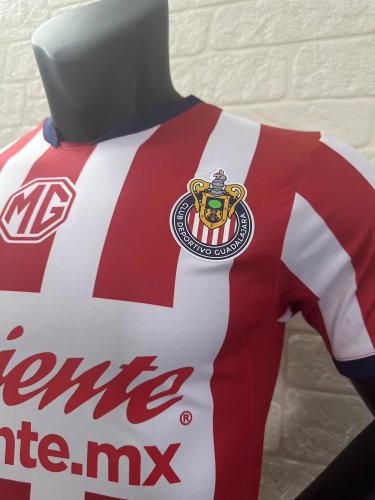 Chivas Away Player Version Man Jersey 24/25