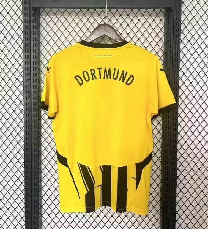 Borussia Dortmund Cup Men Jersey 24/25