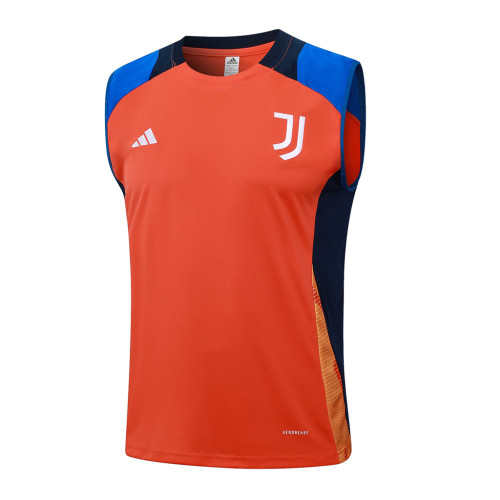 Juventus Training Jersey 24/25