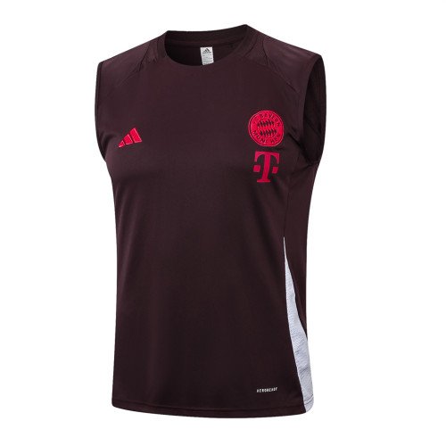 Bayern Munich Training Jersey 24/25