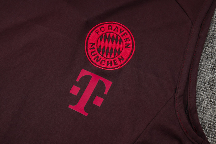 Bayern Munich Training Jersey 24/25