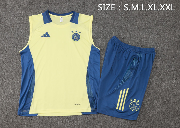 Ajax Training Jersey 24/25