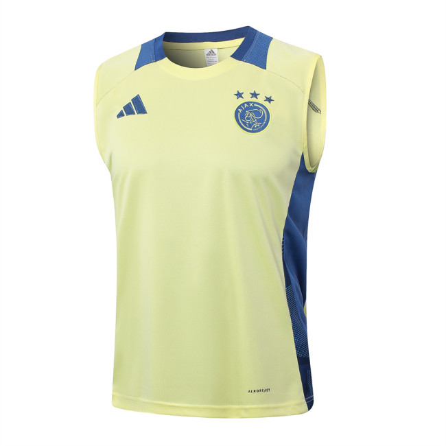 Ajax Training Jersey 24/25