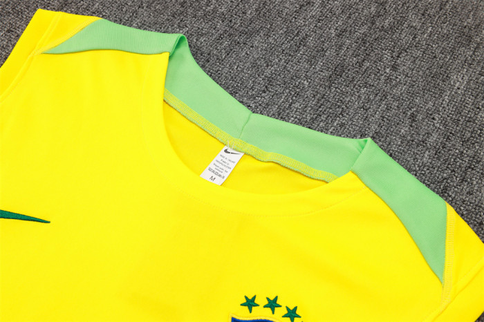 Brazil Training Jersey 24/25