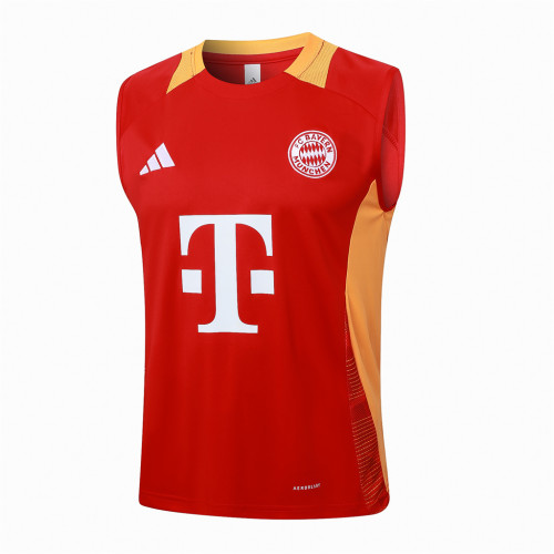 Bayern Munich Training Jersey 24/25