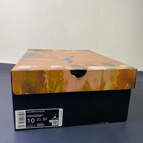 Kicks_Liu Nike  AJ12  sneaker