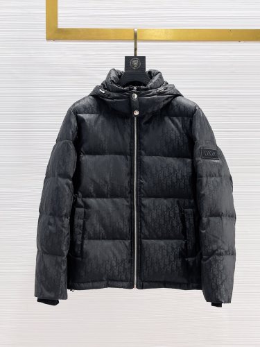 (Kicks Liu)  D*ior Down coat  Top Quality