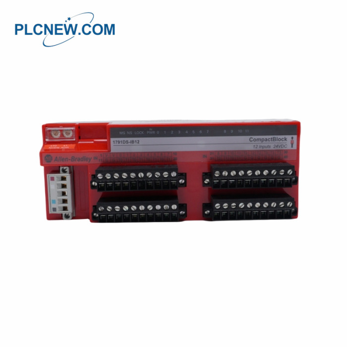 1791DS-IB12 Input module