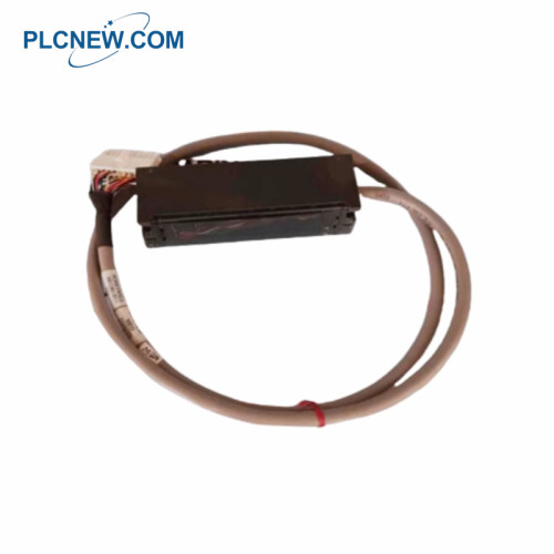 HONEYWELL 900RTC-BA50 Analog Output RTP Cable