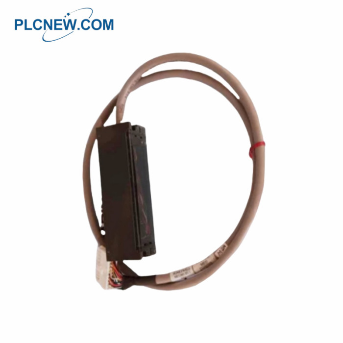 HONEYWELL 900RTC-BA50 Analog Output RTP Cable