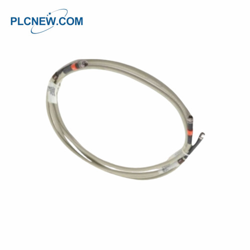 Honeywell FS-CCI-HSE-30 Red Ethernet Cable