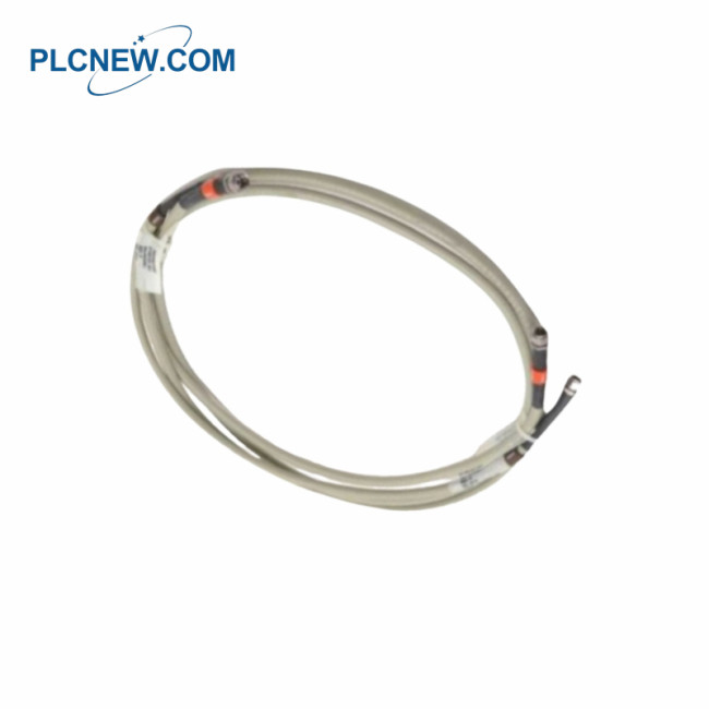 Honeywell FS-CCI-HSE-30 Red Ethernet Cable