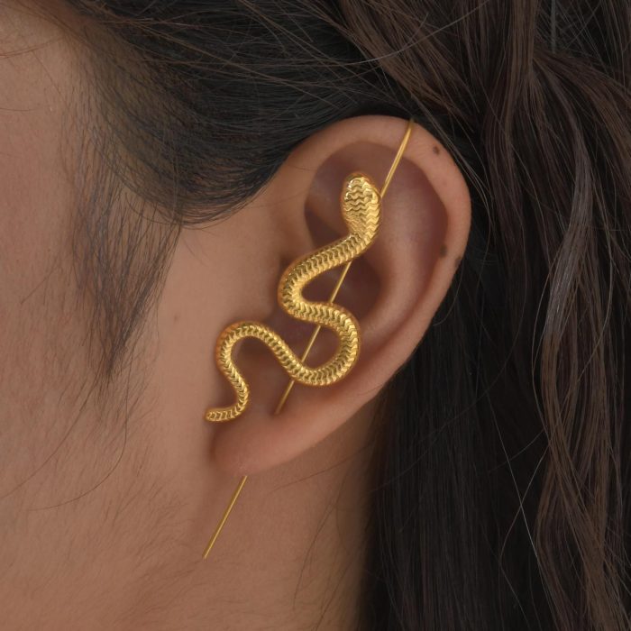 Wholesale Stainless Steel Snake Ear Hooks