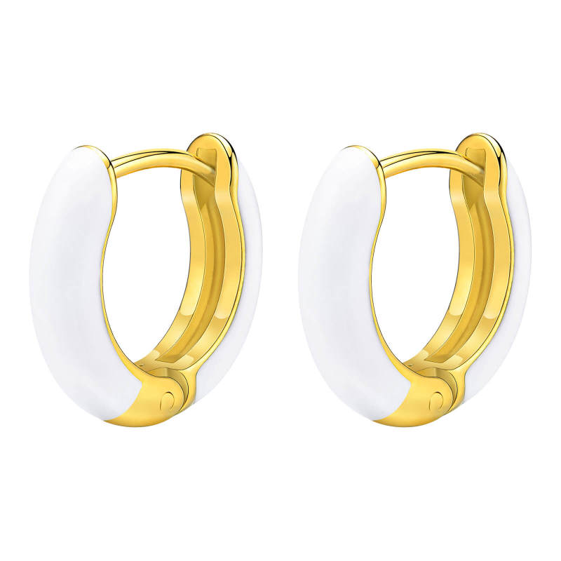 Wholesale Stainless Steel Candy Color Hoop Earrings