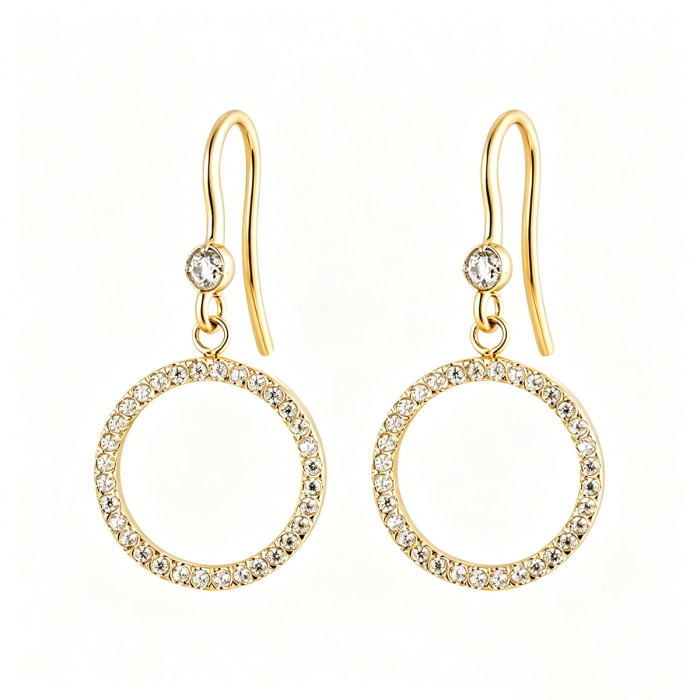 Wholesale Stainless Steel Circle Drop Earrings