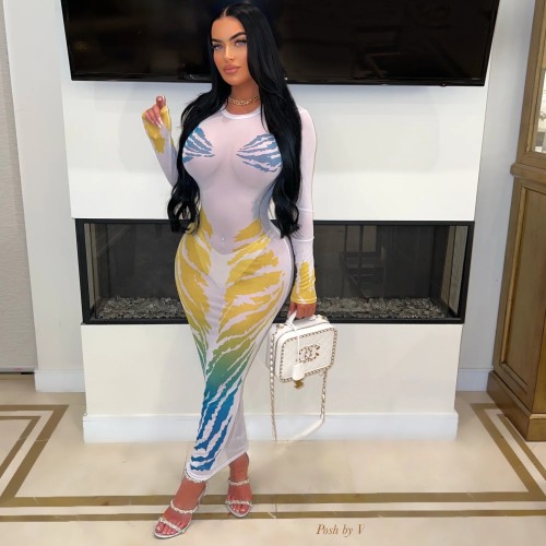 Women Fashion Round Neck See-Through Print Mesh Dress
