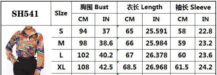 Women's Spring Summer Long Sleeve Shirt Women's Digital Printing Top