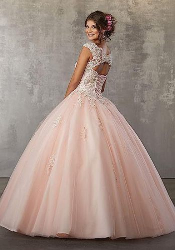 Bride Princess Fantasy Chic V-Neck Puffy Wedding Dress