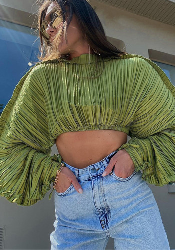 Women Casual Bat Sleeves Crop Top