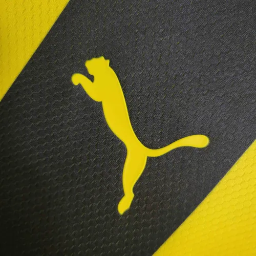 23-24 Penarol Home Fans Jersey/23-24 佩那罗尔主场球迷版