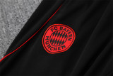 25-26 Bayern Munich Training Suit/25-26拜仁半拉训练服