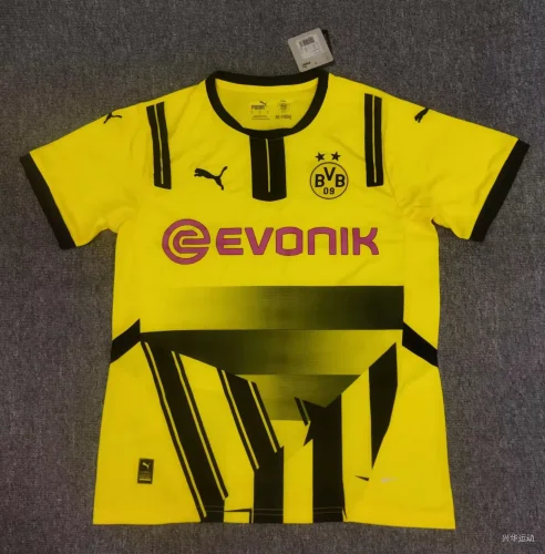 Dortmund 2024-25 cup verison home