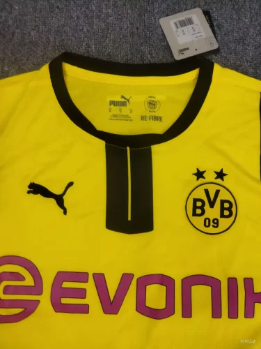 Dortmund 2024-25 cup verison home