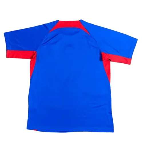 2024-25 Slovakia home soccer jersey