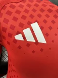 2024 Chile home player version(The player version is more slim fit, it is recommended to buy one size larger)