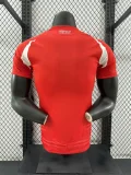 2024 Chile home player version(The player version is more slim fit, it is recommended to buy one size larger)
