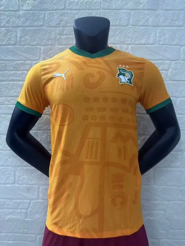 2024-25 lvory Coast  home player version jersey (The player version is more slim fit, it is recommended to buy one size larger)